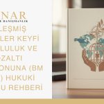 BM WGAD Hukuki Başvuru Rehberi kapak görseli. Dünya haritası önünde, pusula ve zeytin dalıyla süslenmiş, kafes içinde bir insan figürünü koruyan eller tasviri. MINAR Hukuk ve Danışmanlık logosu ve rehberin başlığı yazılı