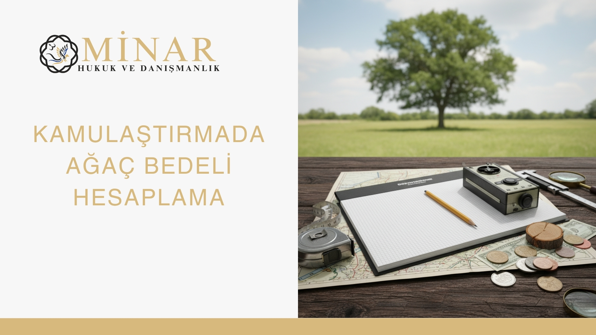 MİNAR Hukuk ve Danışmanlık logosu ve "KAMULAŞTIRMADA AĞAÇ BEDELİ HESAPLAMA" başlığı içeren bir kapak görseli. Görselde, bir masa üzerinde ölçüm bandı, harita, boş bir defter, kalem, eski bir kamera ve madeni paralar yer alıyor. Arka planda yeşil bir alan ve tek bir ağaç görünüyor.